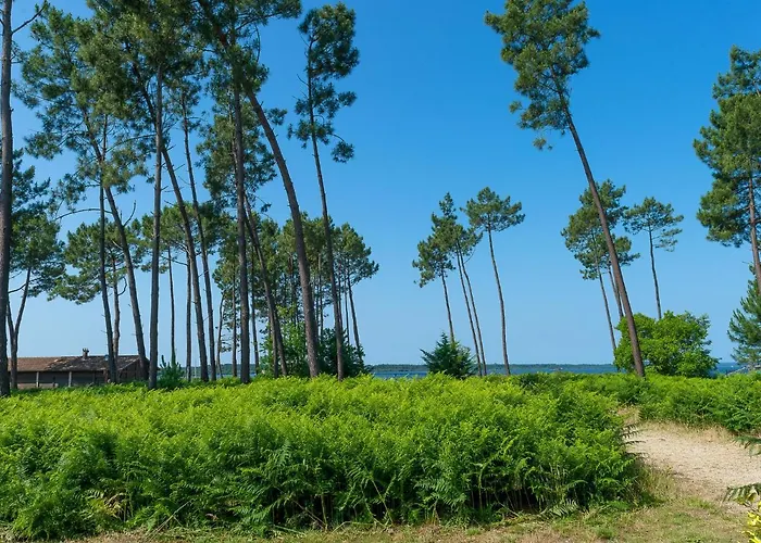 Les Du T3 Tradition By Interhome 아파트 *